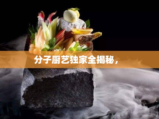 分子厨艺独家全揭秘， 