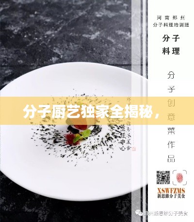 分子厨艺独家全揭秘,