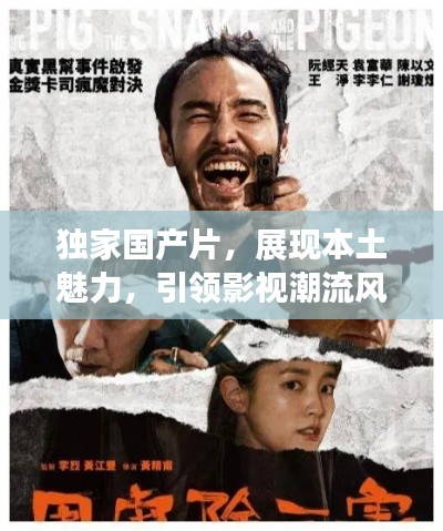 独家国产片,展现本土魅力,引领影视潮流风向标