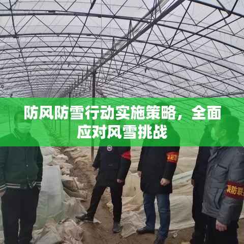 防风防雪行动实施策略，全面应对风雪挑战