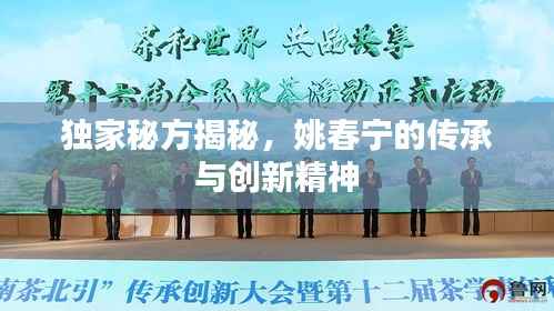 独家秘方揭秘,姚春宁的传承与创新精神