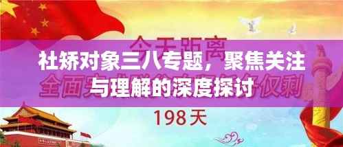 社矫对象三八专题,聚焦关注与理解的深度探讨