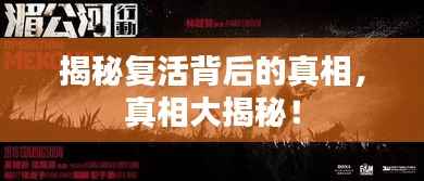 揭秘复活背后的真相,真相大揭秘!