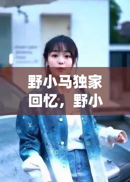 野小马独家回忆,野小马真名