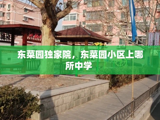 东菜园独家院，东菜园小区上哪所中学 