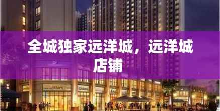 全城独家远洋城,远洋城店铺