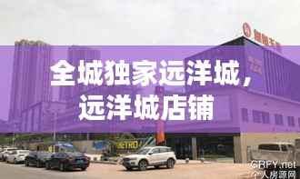 全城独家远洋城,远洋城店铺