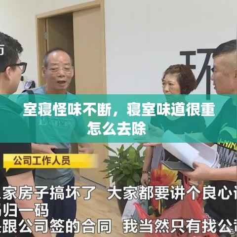 室寝怪味不断,寝室味道很重怎么去除