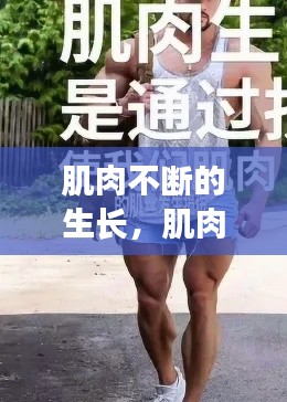 肌肉不断的生长,肌肉不断生长变大