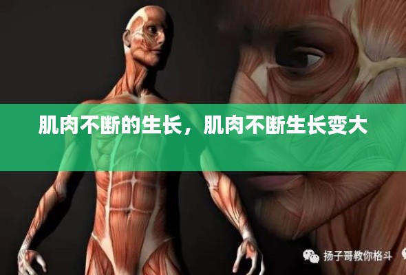 肌肉不断的生长,肌肉不断生长变大