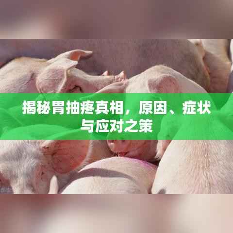 揭秘胃抽疼真相,原因、症状与应对之策