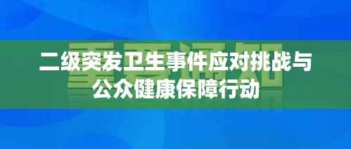二级突发卫生事件应对挑战与公众健康保障行动