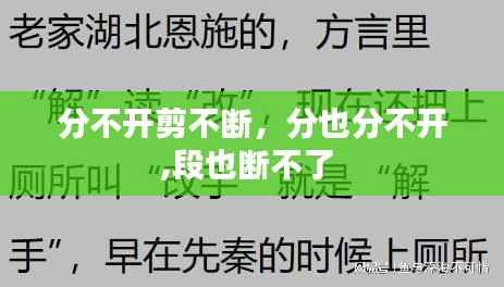 分不开剪不断,分也分不开,段也断不了