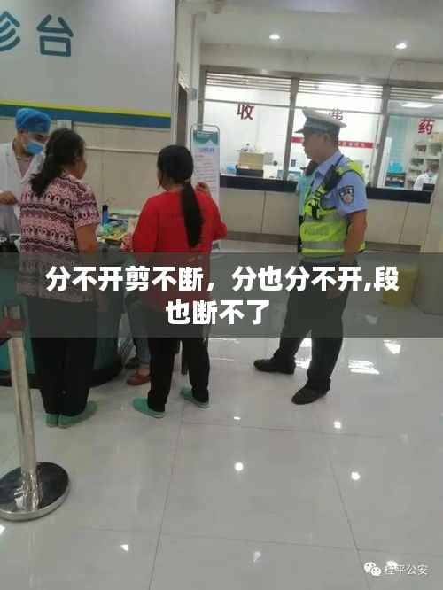 分不开剪不断,分也分不开,段也断不了