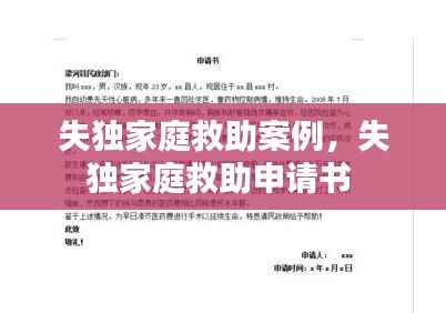 失独家庭救助案例,失独家庭救助申请书