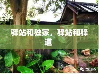 驿站和独家,驿站和驿道