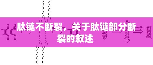 公司介绍 第188页