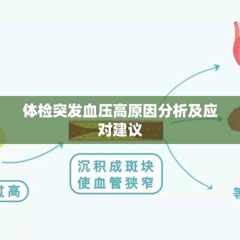 体检突发血压高原因分析及应对建议