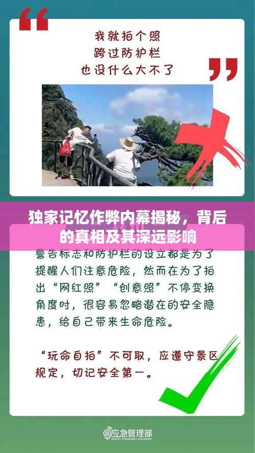 独家记忆作弊内幕揭秘,背后的真相及其深远影响