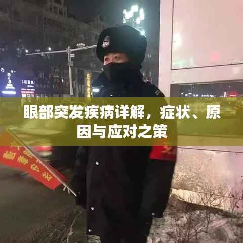 眼部突发疾病详解,症状、原因与应对之策