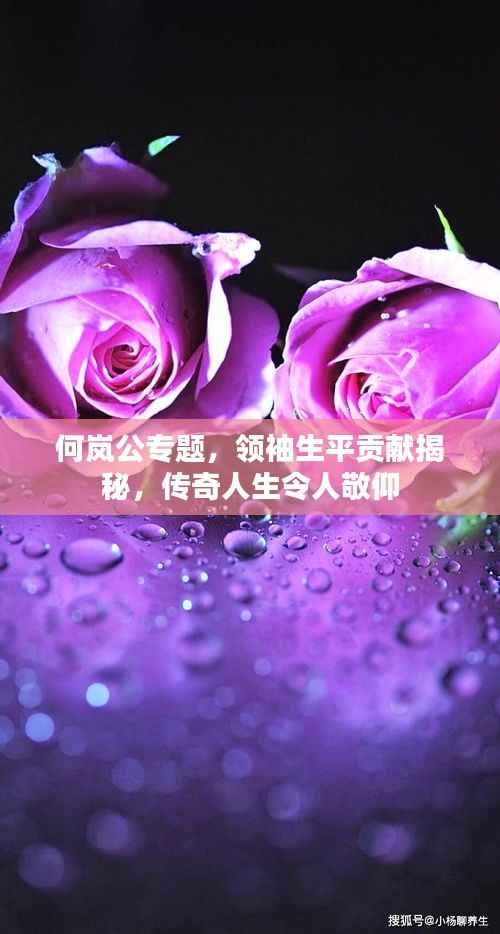 何岚公专题,领袖生平贡献揭秘,传奇人生令人敬仰