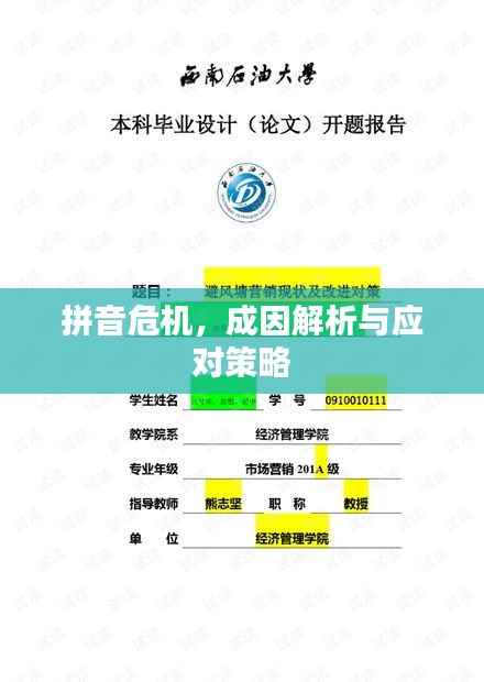 拼音危机,成因解析与应对策略