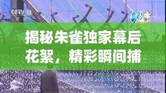 丰容盛鬋 第3页