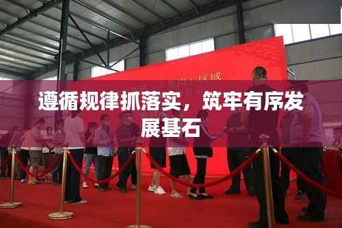 遵循规律抓落实,筑牢有序发展基石