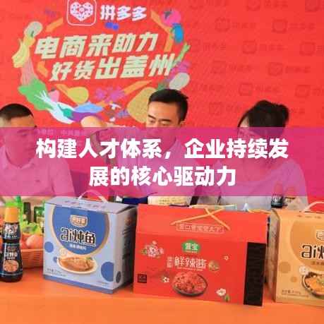构建人才体系,企业持续发展的核心驱动力