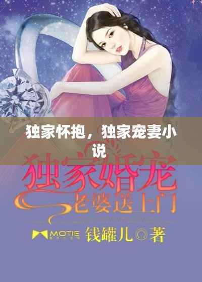 独家怀抱,独家宠妻小说
