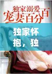 独家怀抱,独家宠妻小说