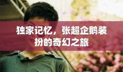 独家记忆,张超企鹅装扮的奇幻之旅