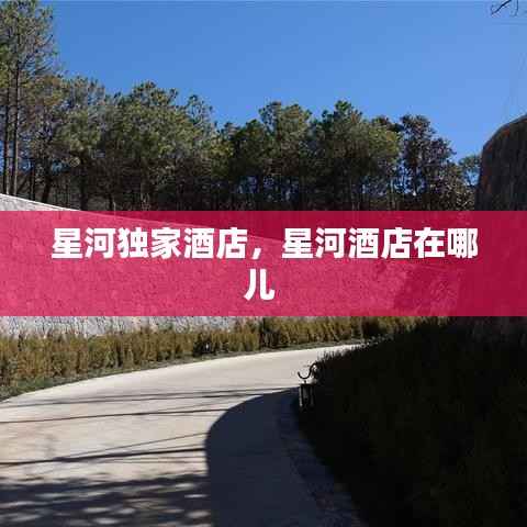 星河独家酒店,星河酒店在哪儿