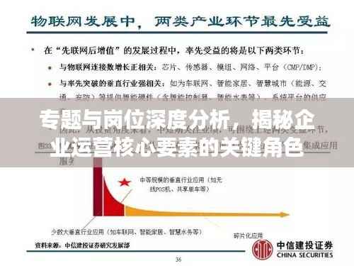 专题与岗位深度分析,揭秘企业运营核心要素的关键角色