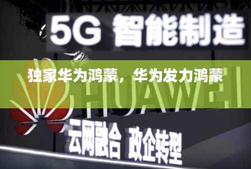独家华为鸿蒙,华为发力鸿蒙