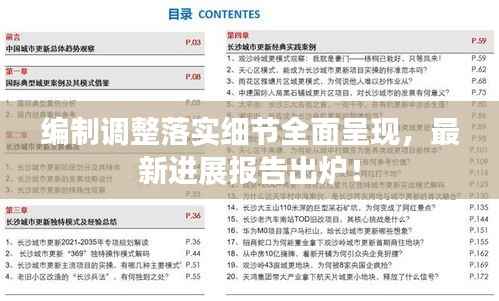 编制调整落实细节全面呈现,最新进展报告出炉!