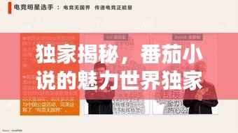 独家揭秘，番茄小说的魅力世界独家对话