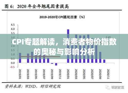 CPI专题解读，消费者物价指数的奥秘与影响分析