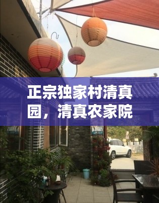 正宗独家村清真园,清真农家院