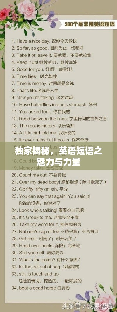 独家揭秘,英语短语之魅力与力量