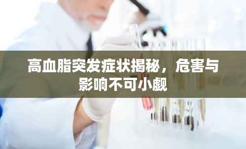 高血脂突发症状揭秘，危害与影响不可小觑