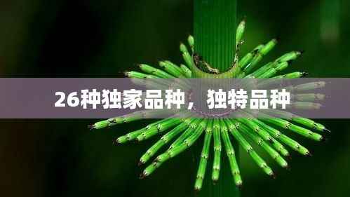 26种独家品种,独特品种