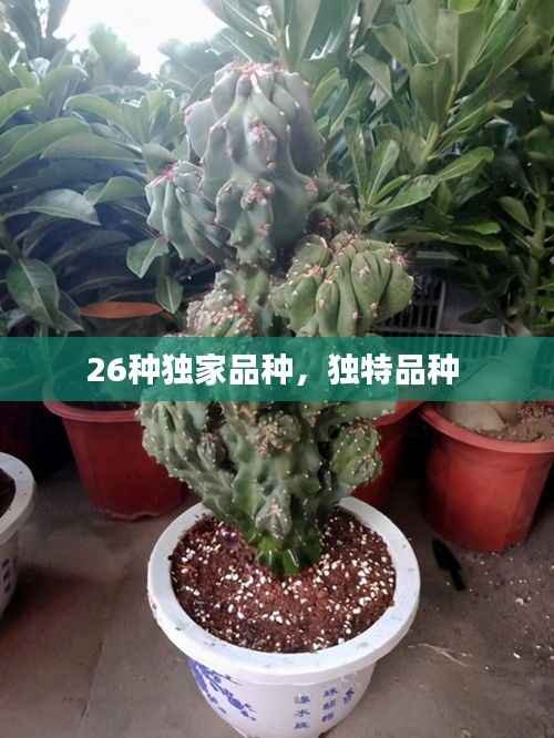 26种独家品种,独特品种
