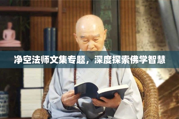 净空法师文集专题,深度探索佛学智慧