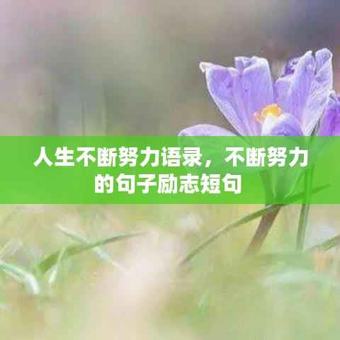 人生不断努力语录，不断努力的句子励志短句 