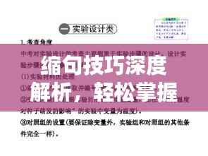 缩句技巧深度解析,轻松掌握专题导入