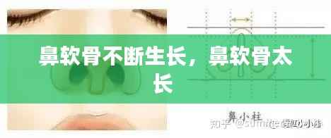 鼻软骨不断生长，鼻软骨太长 