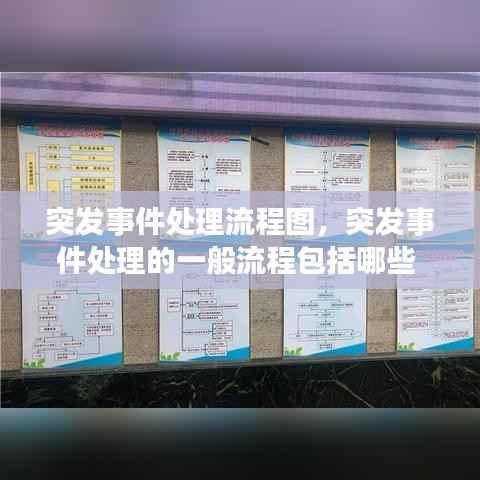 突发事件处理流程图,突发事件处理的一般流程包括哪些