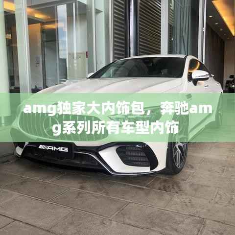 amg独家大内饰包，奔驰amg系列所有车型内饰 