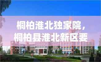 桐柏淮北独家院,桐柏县淮北新区要建小学吗